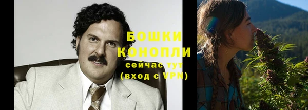 дурь Ладушкин