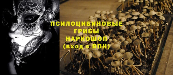 mix Лабытнанги