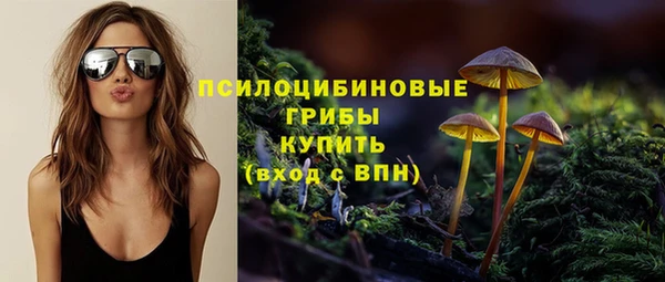 бутират Лагань