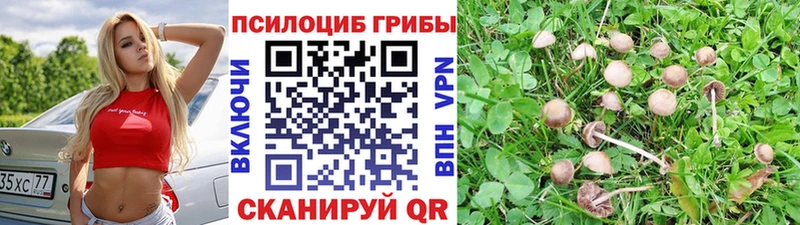 Галлюциногенные грибы ЛСД  Купить  Западная Двина 